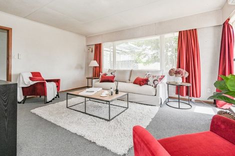 Photo of property in 55 Elliott Crescent, Havelock North, 4130