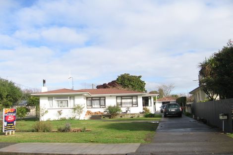 Photo of property in 415 Collinge Road, Mayfair, Hastings, 4122