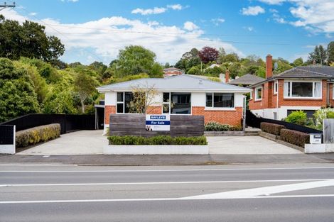 Photo of property in 249 Taieri Road, Wakari, Dunedin, 9010