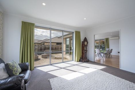 Photo of property in 17 Joyce Place, Richmond, 7020