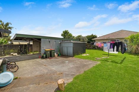 Photo of property in 127 Maplesden Drive, Clendon Park, Auckland, 2103