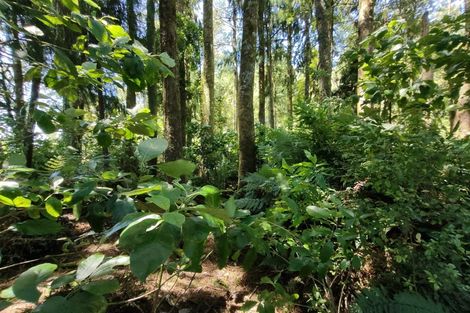 Photo of property in 6c Stafford Street, Westport, 7825