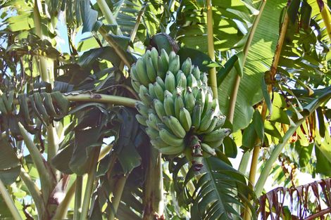 Photo of property in 32 Waterview Crescent, Kaiwaka, 0573