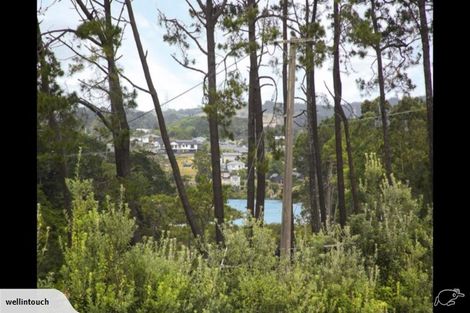 Photo of property in 117 Barrett Road, Riverhead, Albany, 0793