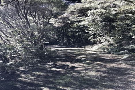 Photo of property in 850 Buffalo Road, Coromandel, 3506