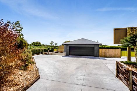 Photo of property in 135 Sealy Road, Omata, New Plymouth, 4374