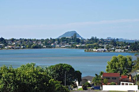 Photo of property in 74 Haukore Street, Hairini, Tauranga, 3112