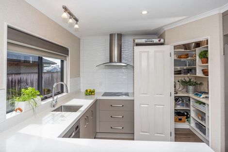 Photo of property in 229 Raeburne Street, Te Awamutu, 3800