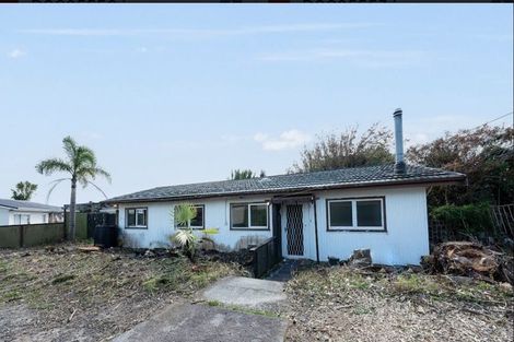 Photo of property in 24 Robert Burke Place, Henderson, Auckland, 0612