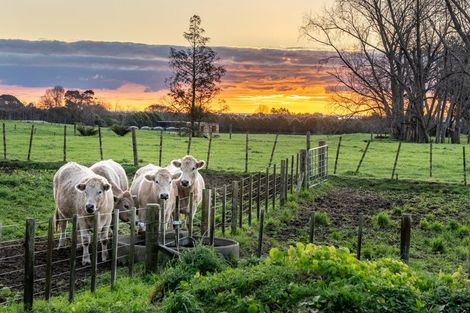 Photo of property in 56 Mickell Road, Hautere, Otaki, 5582