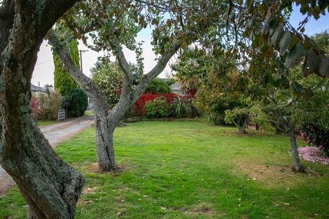 Photo of property in 28 Campbell Street, Leamington, Cambridge, 3432