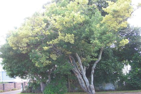 Photo of property in 5b Preston Avenue, Mount Albert, Auckland, 1025