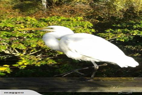 Photo of property in 4 Claremont Road, Gleniti, Timaru, 7910