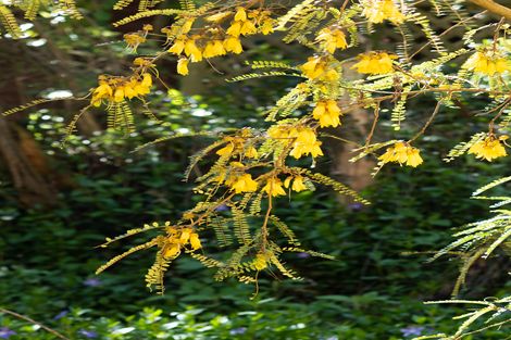 Photo of property in 1101 Dyers Pass Road, Governors Bay, Lyttelton, 8971