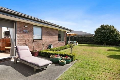 Photo of property in 6 Coleman Place, Katikati, 3129