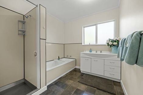 Photo of property in 10a Ihle Street, Terrace End, Palmerston North, 4410