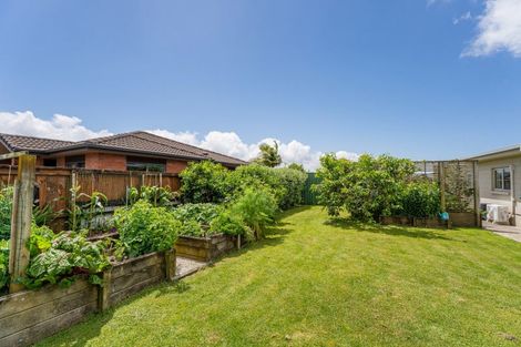 Photo of property in 53 Catherine Crescent, Whitianga, 3510