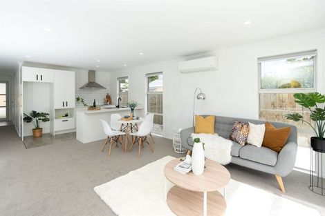 Photo of property in 4/45 Tranmere Road, Fairfield, Hamilton, 3214