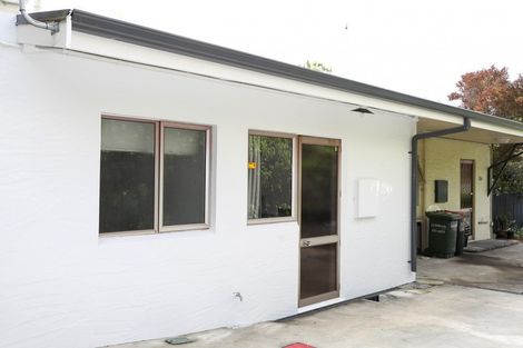 Photo of property in 28b Von Dadelszen Place, Havelock North, 4130