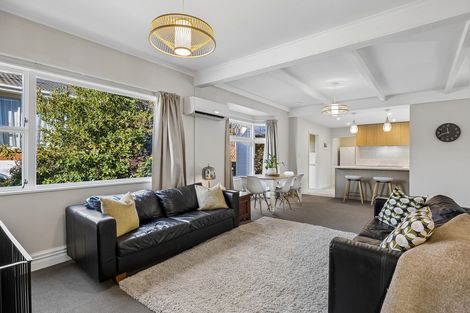 Photo of property in 11 Hazel Avenue, Caversham, Dunedin, 9012