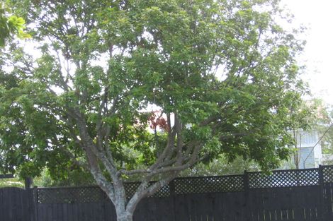 Photo of property in 7 Preston Avenue, Mount Albert, Auckland, 1025