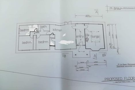 Photo of property in 350 Te Tahi Road, Puketotara, Te Awamutu, 3876