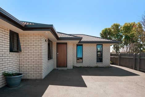 Photo of property in 28a Stratford Street, Blenheim, 7201