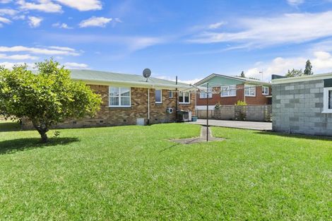Photo of property in 5 Fitzroy Avenue, Fitzroy, Hamilton, 3206