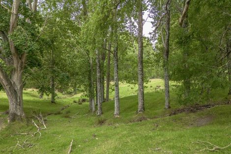 Photo of property in 1344 Ngapaeruru Road, Te Uri, Dannevirke, 4973