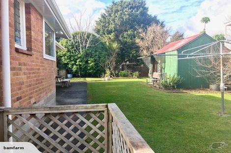 Photo of property in 50 Pagitt Street, Coromandel, 3506