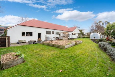 Photo of property in 41 Mcfadden Drive, Mosgiel, 9024
