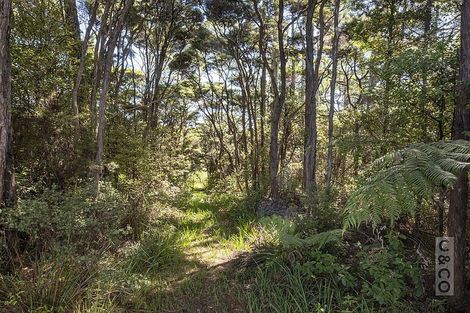 Photo of property in 22c Sunnyvale Road, Swanson, Auckland, 0614