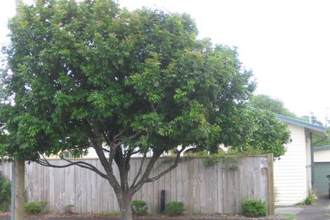 Photo of property in 10 Newcastle Terrace, Mount Albert, Auckland, 1025