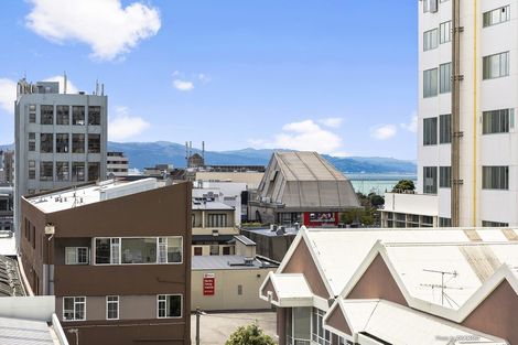 Photo of property in Republic Apartments, 4a/11 Tennyson Street, Te Aro, Wellington, 6011