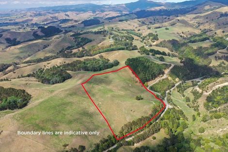 Photo of property in 169 Torehape Road, Kaihere, Ngatea, 3597