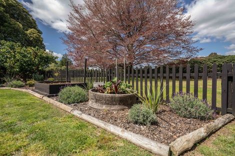 Photo of property in 41a Cranmere Drive, Tamahere, Hamilton, 3283