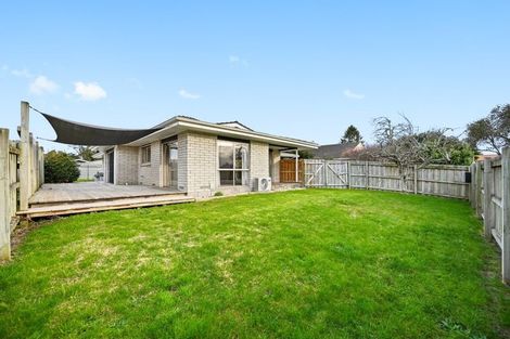 Photo of property in 27 Chequers Avenue, Chartwell, Hamilton, 3210