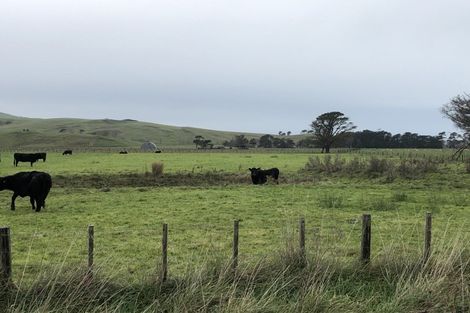 Photo of property in 65 Beach Road, Porangahau, 4293