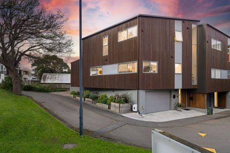 Photo of property in 3 Salmont Place, Kelburn, Wellington, 6012