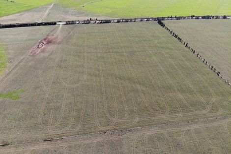 Photo of property in 481 Thongcaster Road, Eyrewell, West Eyreton, 7495