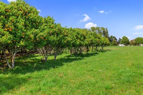 Photo of property in 721 Thornton Road, Thornton, Whakatane, 3193