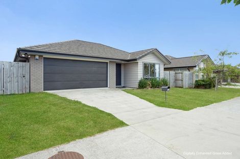 Photo of property in 301 Victoria Street West, Pukekohe, 2120