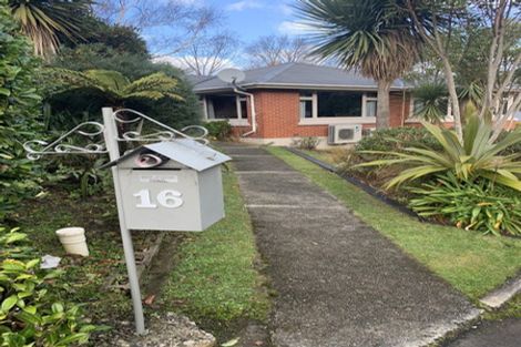Photo of property in 16 Craigleith Street, North East Valley, Dunedin, 9010