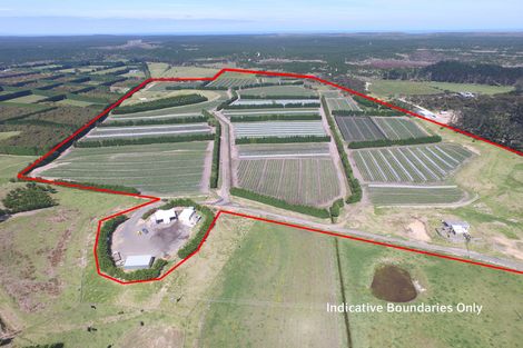 Photo of property in 3167 State Highway 1, Pukenui, Kaitaia, 0484