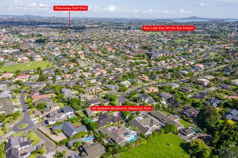 Photo of property in 38 Anaheim Boulevard, Shamrock Park, Auckland, 2016