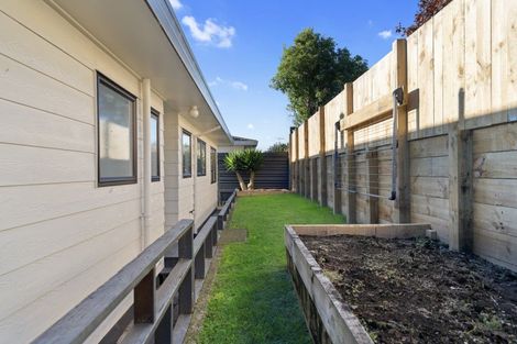 Photo of property in 1236a Cameron Road, Gate Pa, Tauranga, 3112