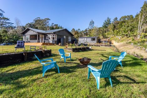 Photo of property in 478 The 309 Road, Waiau, Coromandel, 3581