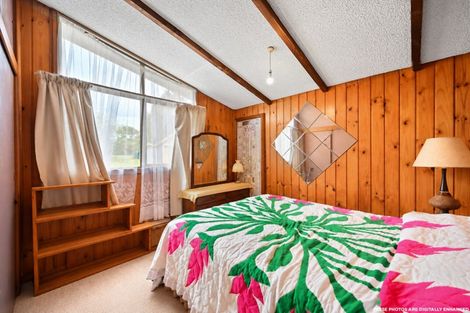 Photo of property in 738 Tuhikaramea Road, Ngahinapouri, Hamilton, 3290