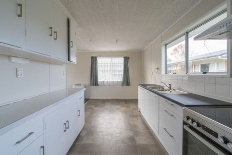 Photo of property in 163 Galloway Street, Hamilton East, Hamilton, 3216