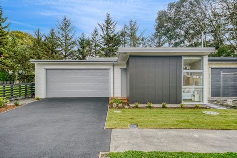 Photo of property in 87 Spalling Road, Halswell, Christchurch, 8025